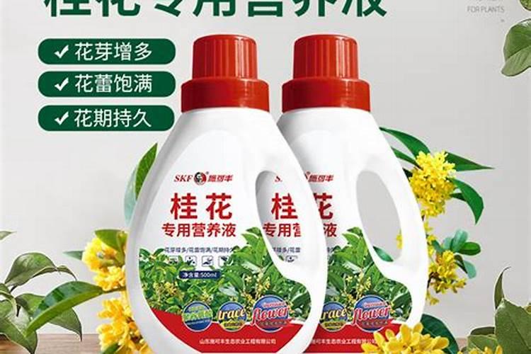 养花酸性肥料有哪些