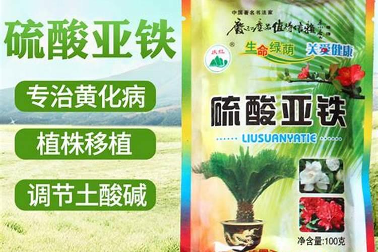 养花的酸性肥料有哪些;给花施肥用什么肥料