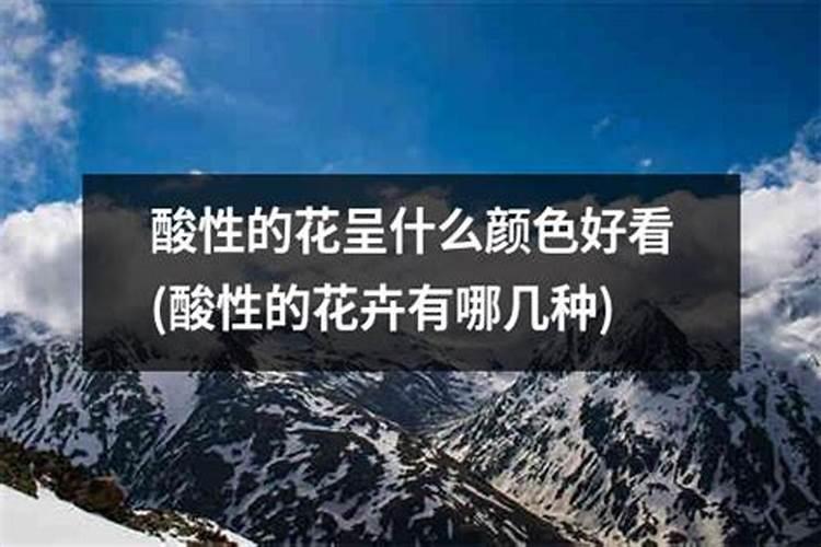 什么花该浇什么肥料.