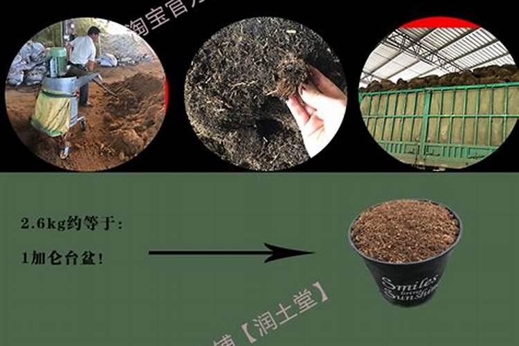 钙镁磷肥一亩施多少