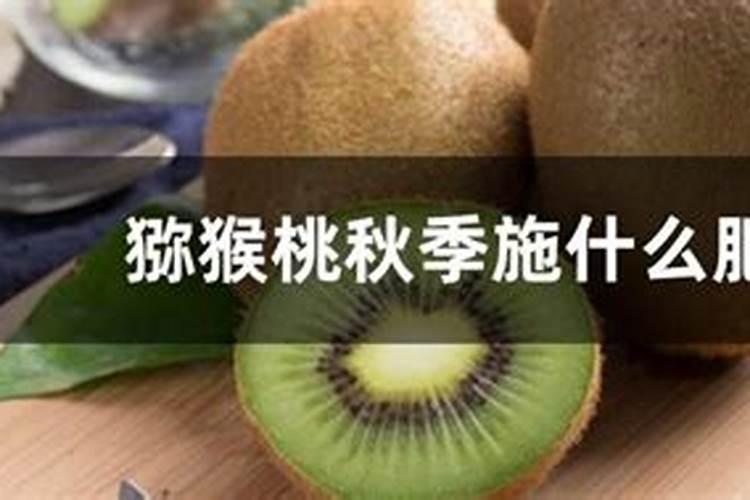 猕猴桃种植方法与步骤 猕猴桃种植方法与步骤介绍