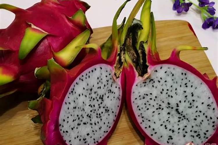 金心吊兰开花吗,开花寓意是什么
