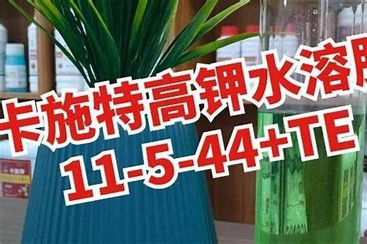 金钱树用什么肥料