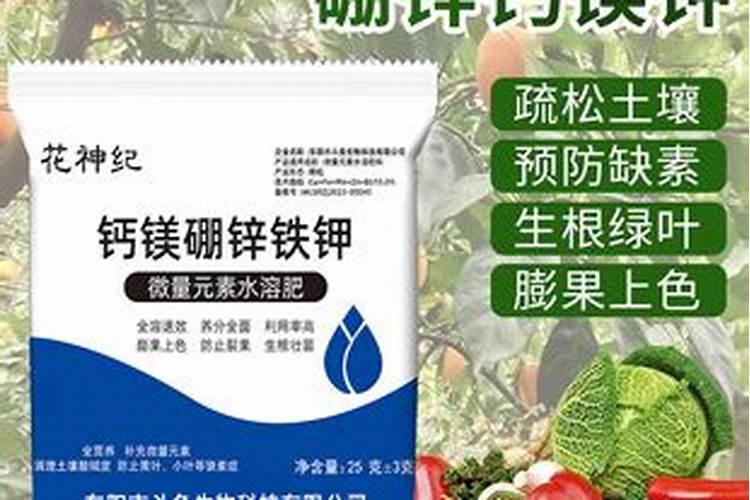 昙花施肥用什么肥料,长花蕾的时候可以施肥吗