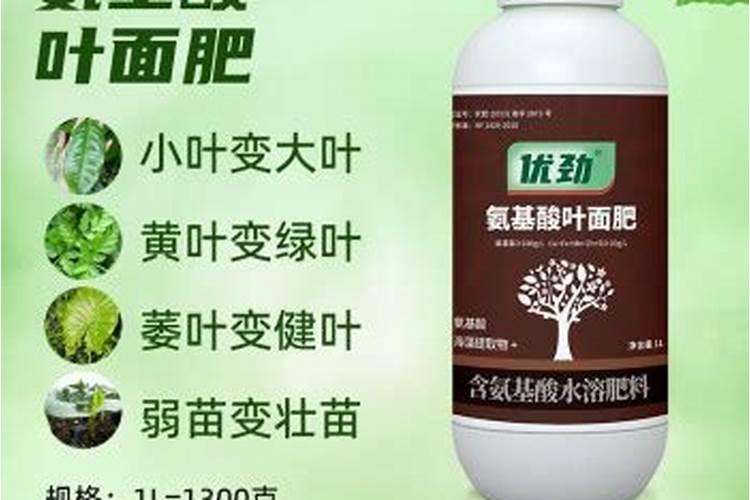 葡萄施什么肥