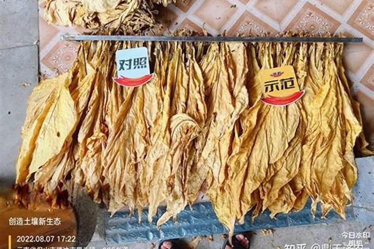 大青盐可以食用？