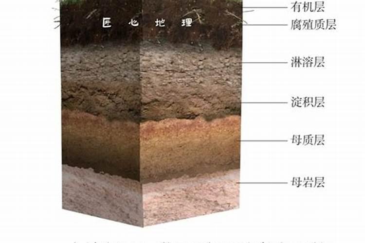 黑土中为什么腐殖质不易分解有机质含量就高