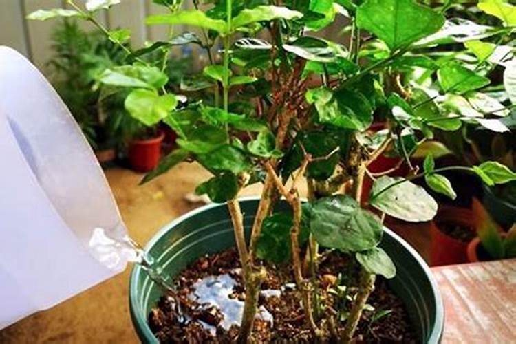 水溶肥的执行标准