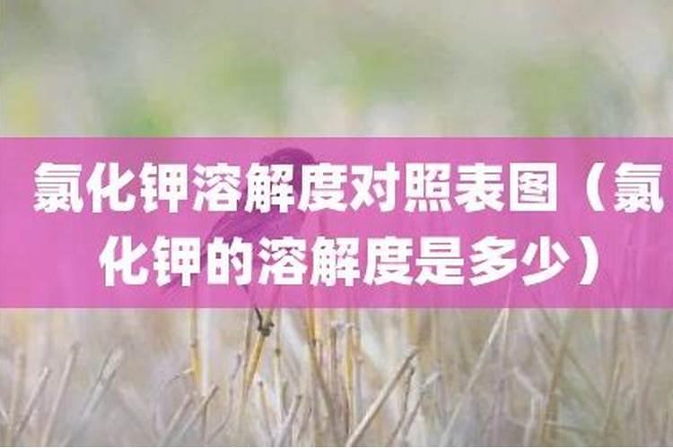 给多肉施肥,奥绿A2和花多多12号能不能同时使用？