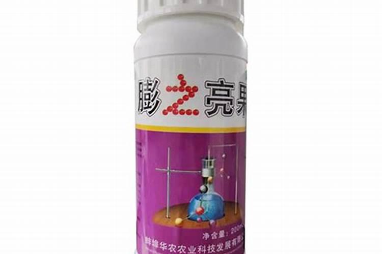 辣椒叶不平展,果实不发亮怎么事