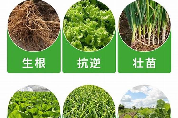 营养土简单制作方法