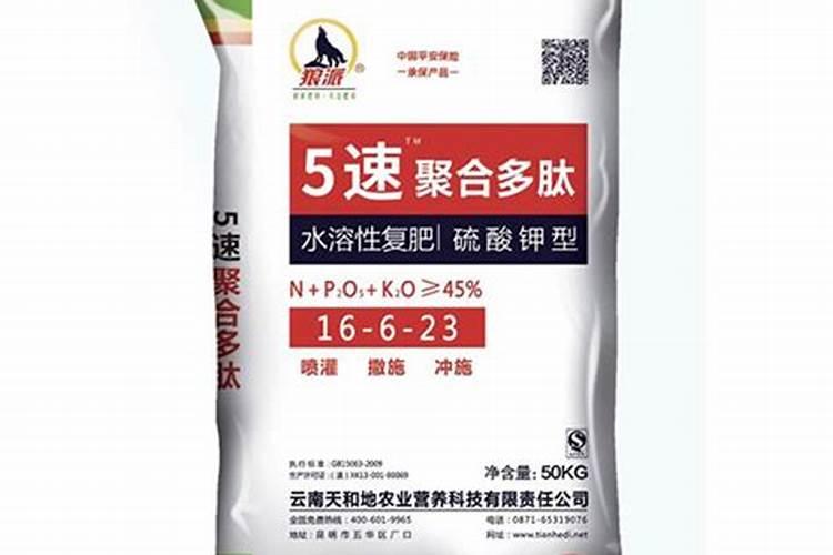 桃树中的镁有哪些作用？