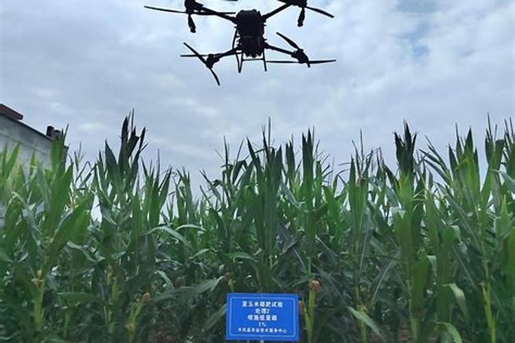新疆自治区土地征用果树补偿标准