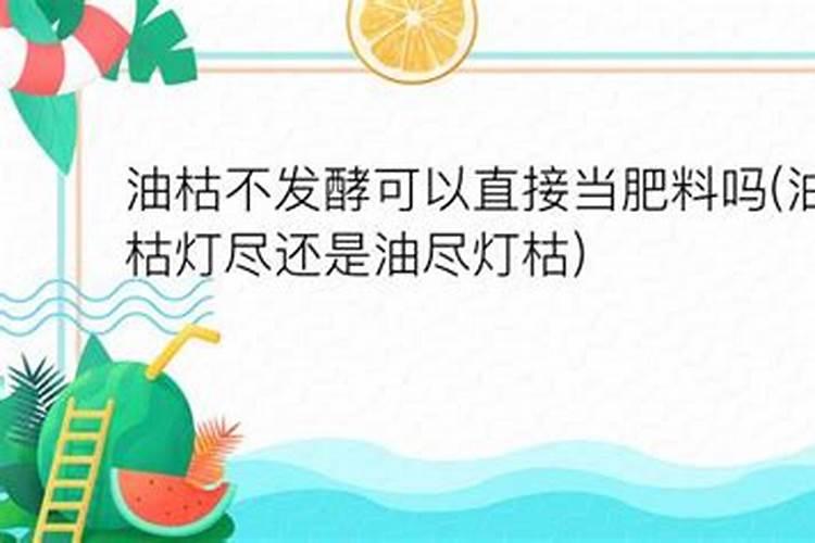 连续下雨露养的月季怎么办
