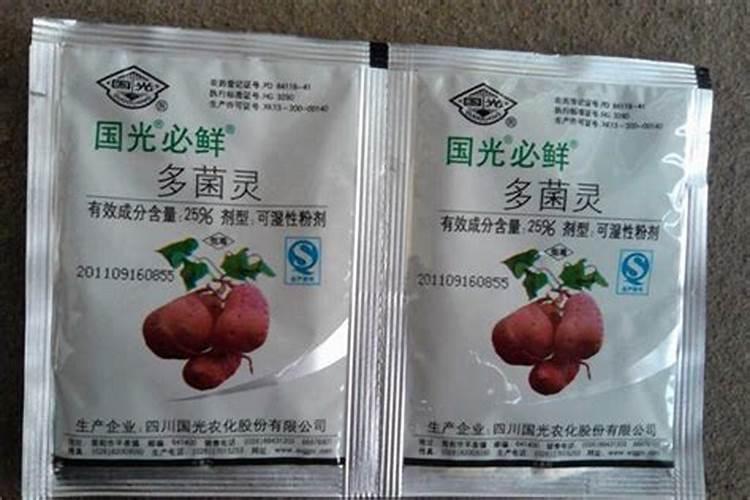玉米叶子可以包粽子吗