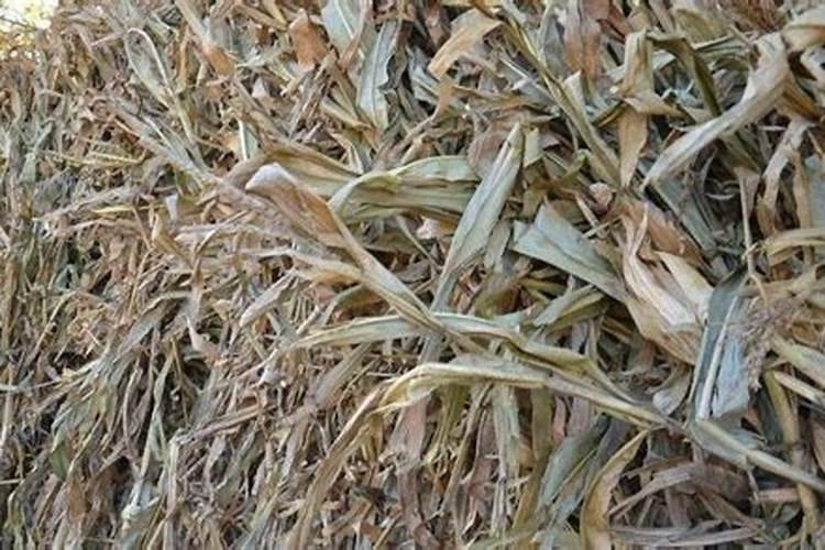玉米发酵肥料制作方法