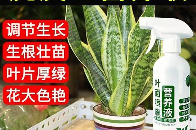 海鱼比淡水鱼更有营养吗