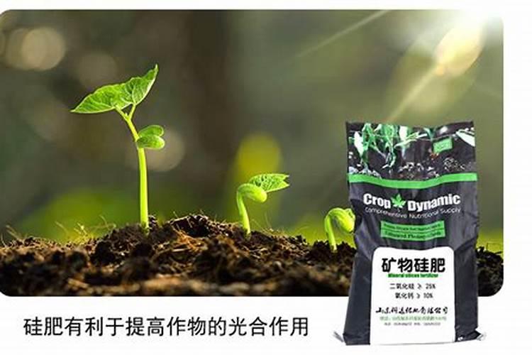 氮磷钾三种肥对植物的作用是什么？如何使用？