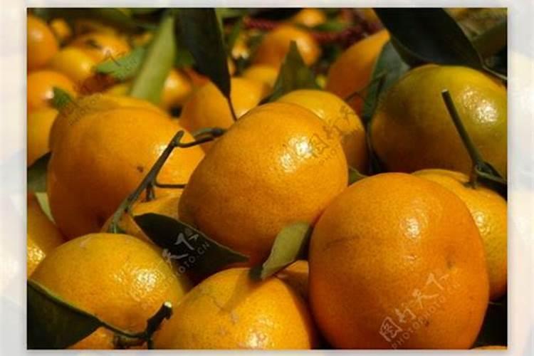 鱼蛋白肥料质量差别都很大,怎样挑选质量好的鱼蛋白肥料？