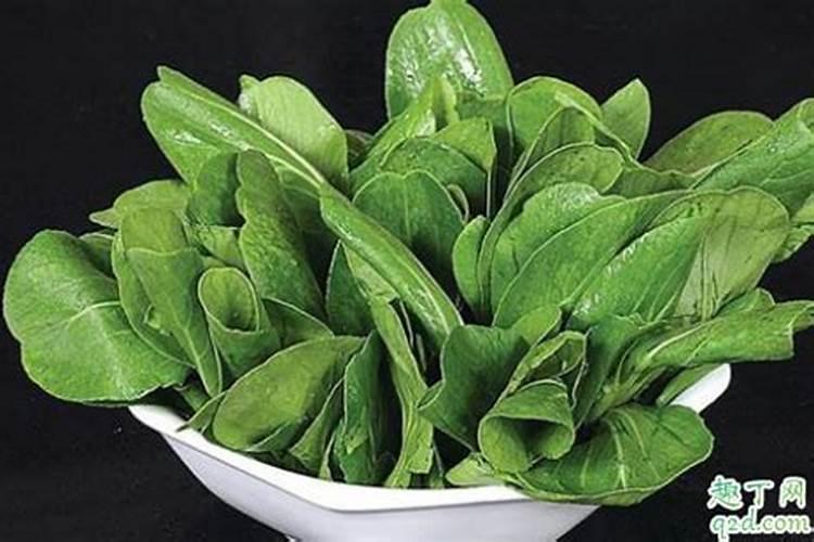 这7种肥料总是买到假的,别再踩坑了!