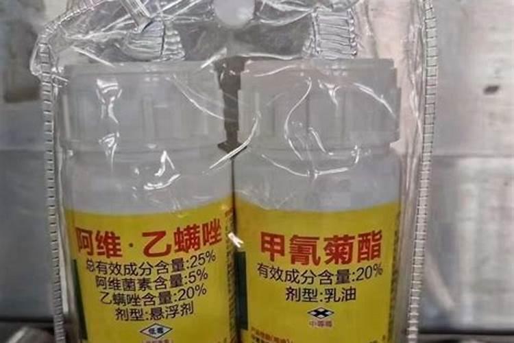 红蜘蛛用药方法不对,越防治越多,为啥