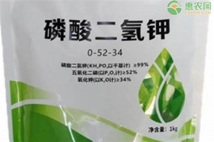 花卉施肥用什么肥料 花卉施肥用哪些肥料