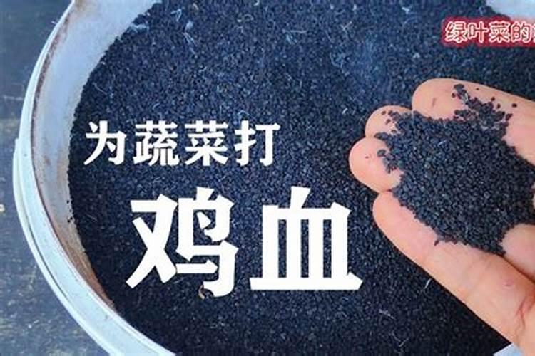 家里养花适合用的含氮的肥料有哪些啊