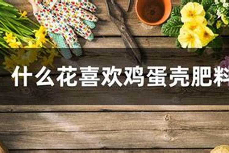 红花中间有个黄色柱子,非常好看,请问是什么花？