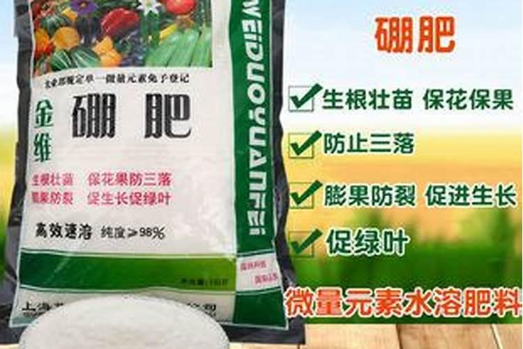 硼肥怎么施效果最好