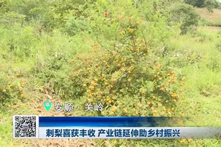 磷酸二氢钾加尿素的使用方法