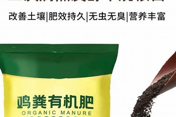 秋茬蔬菜在定植时应该注意什么？