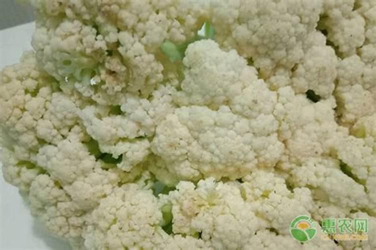 碧萝芷护康胶囊对心脑血管有效果吗？