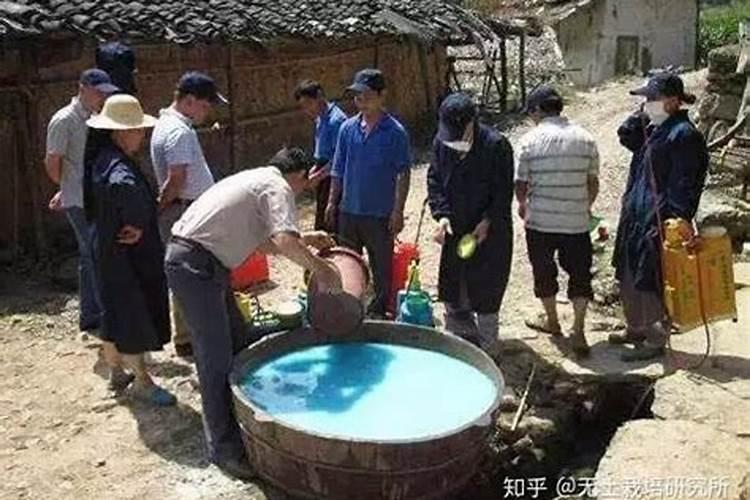 发财树施什么肥料