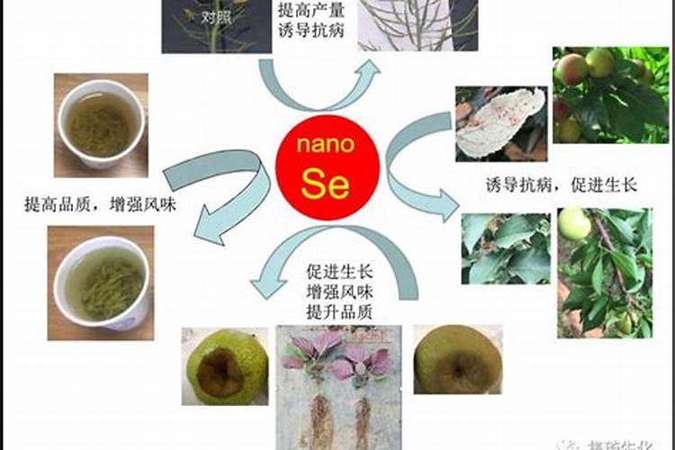 硒肥和有机肥料区别