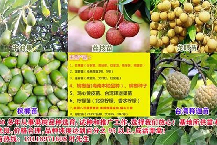 中国最好的果树叶面肥有哪些？