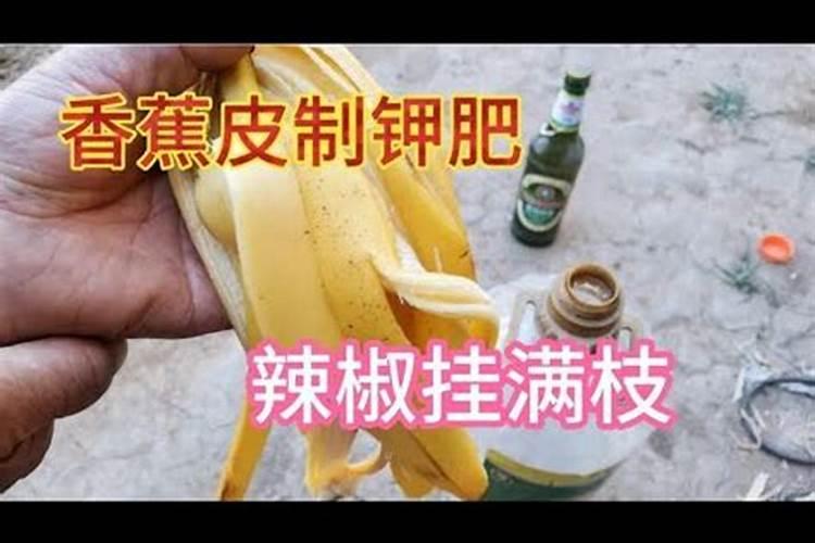 香蕉皮是属于氮肥还是钾肥