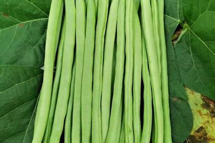 惯爱小金豆效果好吗？