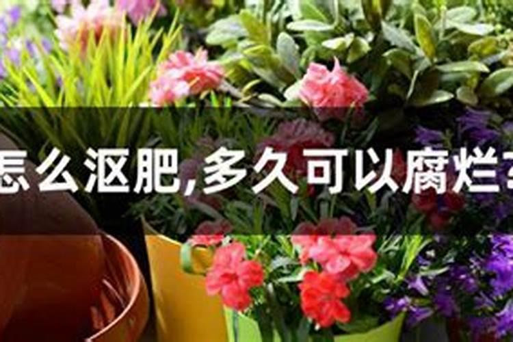 钾肥价格多少钱一吨