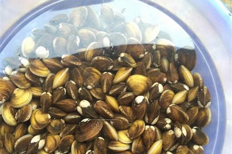 西红柿着色用什么肥料好