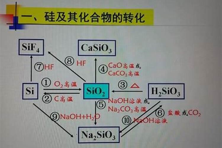 蓝莓,不爱发新枝,菌肥,生根用了,怎么回事？(如图)