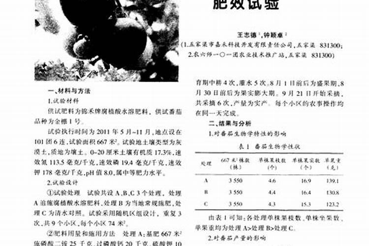黄桃树什么时候打药