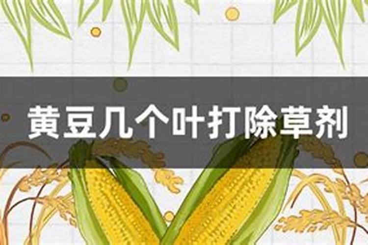 黄豆增产的方法有几种