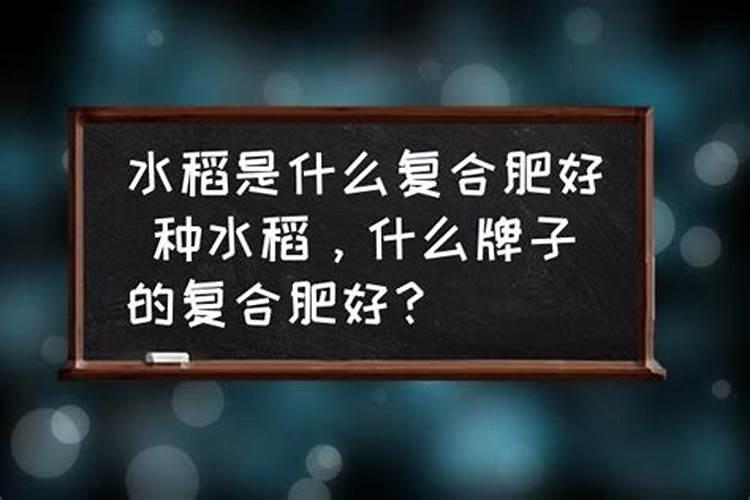 梅花用什么树嫁接