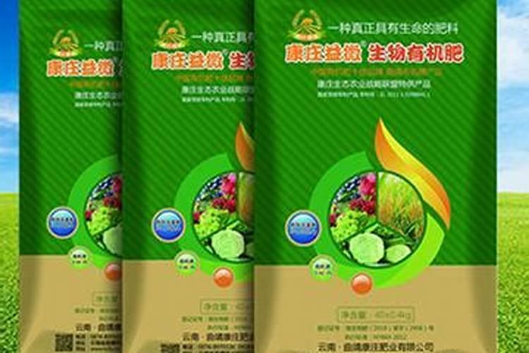似水果又似蔬菜的树番茄,栽种一棵就能吃上一年,是如何做到的？