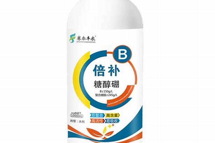 河北脱毒红薯苗基地？