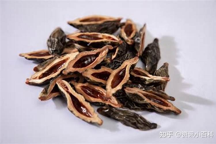 金属性由强到弱的顺序？