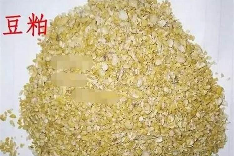 山东哪里的有机肥原料最好