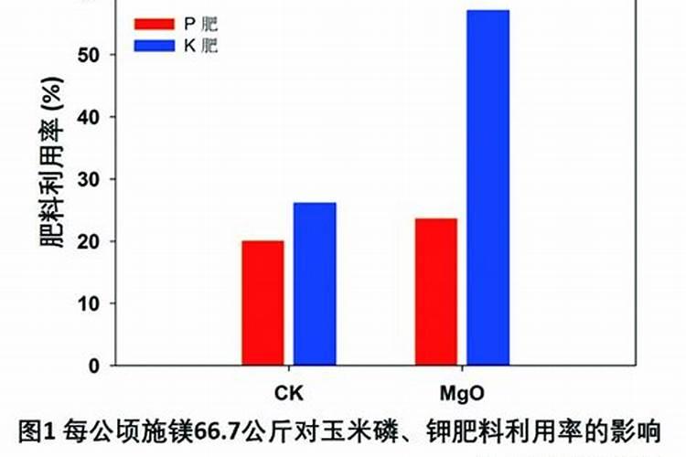 给花施肥后多久浇水 花施肥后几天浇水最合适？