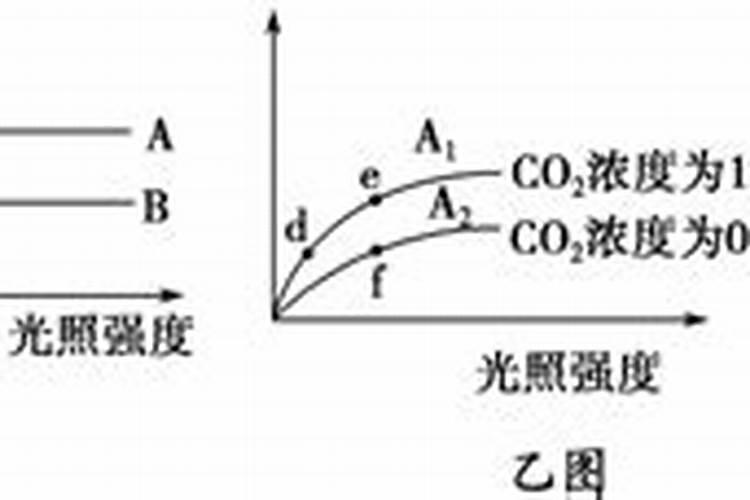 什么果树可以施肥？施尿素好还是复合肥好？