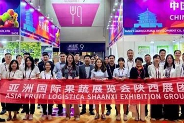 仙桃市盛世佳人绿色果蔬专业合作社怎么样？